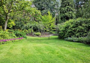 Optimiser l'expérience du jardin à Pessat-Villeneuve